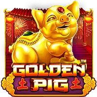 pp image